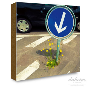 Verkehrszeichen zeigt Richtung Blumen