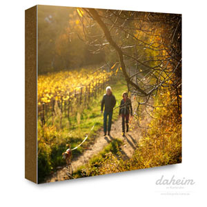 Paar mit Hund beim Herbstspaziergang zwischen Weinreben