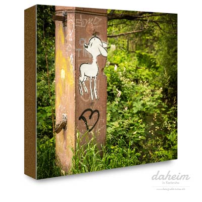 Graffiti an der Alb bei Karlsruhe Beiertheim